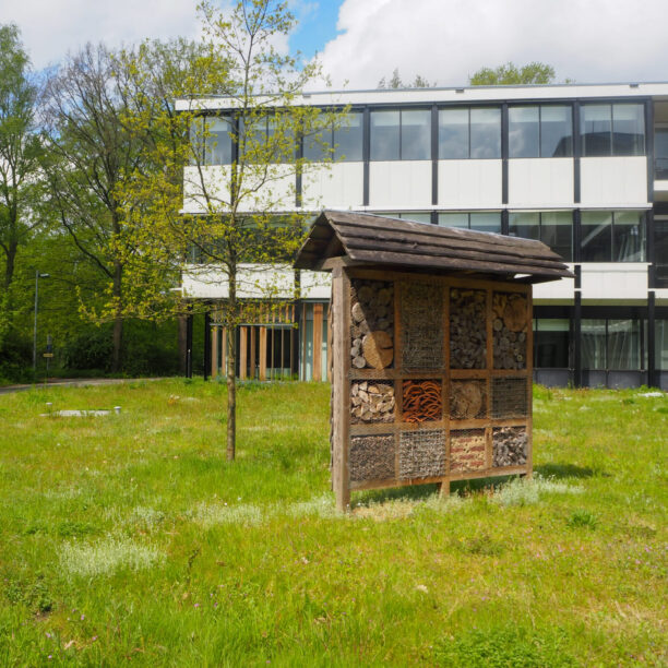 Een bedrijfstuin biedt kansen voor biodiversiteit.