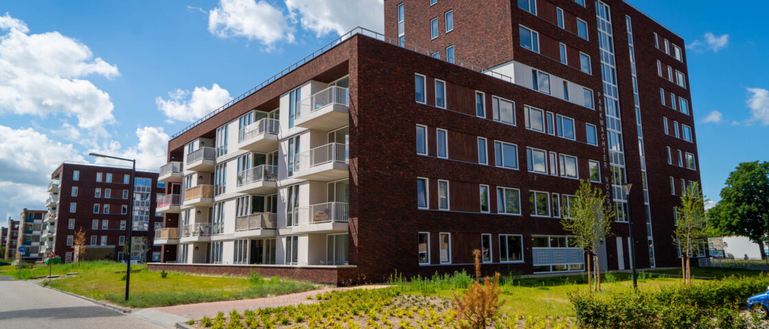 Ontwerp voor een Bedrijfstuin.