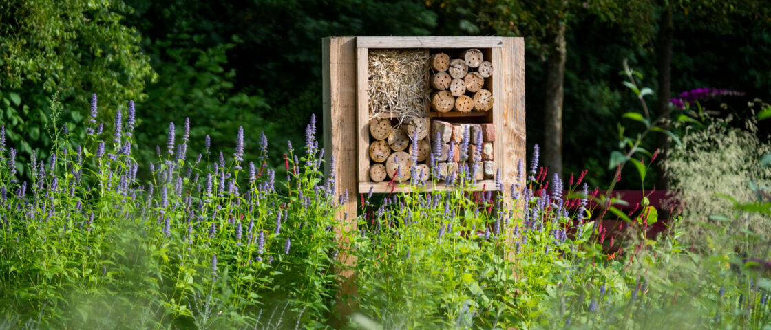 Bedrijfstuin aangelegd door Verheij Integrale groenzorg.