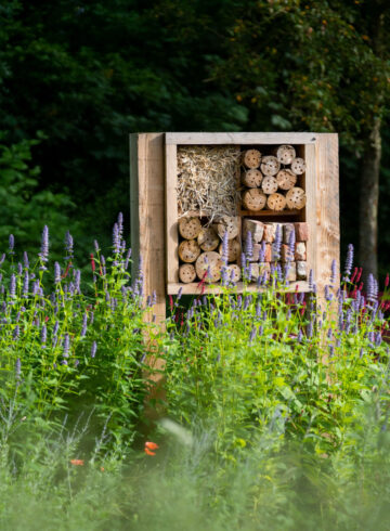 Bedrijfstuin aangelegd door Verheij Integrale groenzorg.