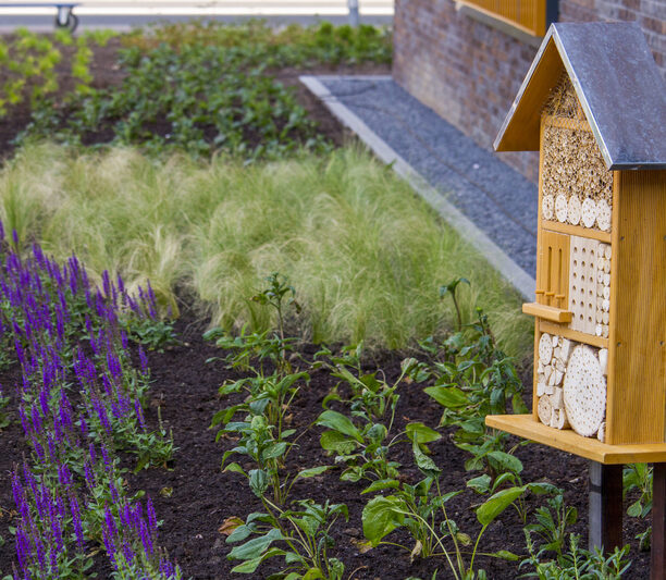 In de tuin van woonzorgcentrum Nebo speelt biodiversiteit ook een rol.