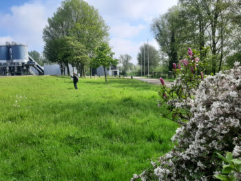 Biodiversiteit bij het waterschap.