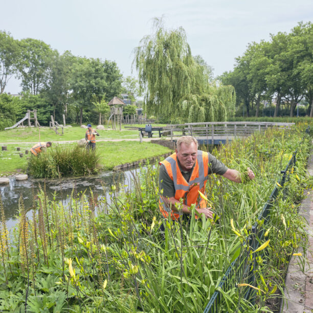 Groenbeheer in de wijk.