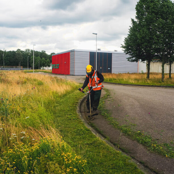 Bij De Dommel wordt het maaibeheer aangepast in het kader van de biodiversiteit.