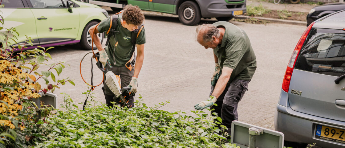 Aan het werk onder begeleiding van een voorman.