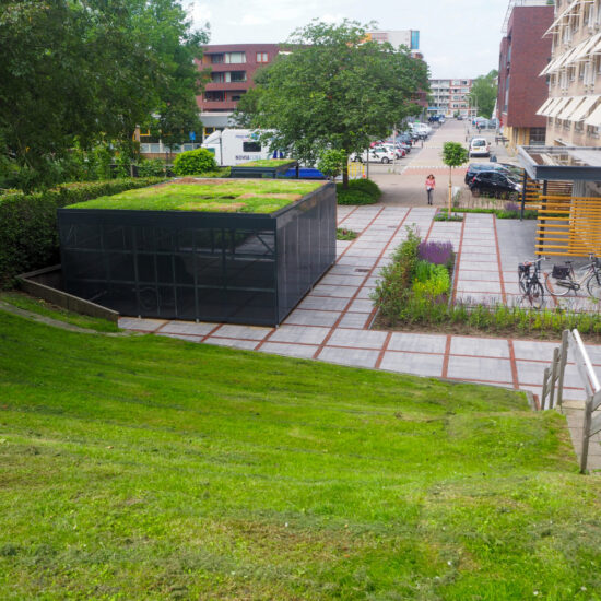 Een groen dak zorgt voor opvang en afvoer van regenwater en verkoeling.
