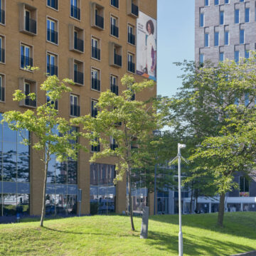 Bomen voor de entree van het Albert Schweitzer Ziekenhuis.