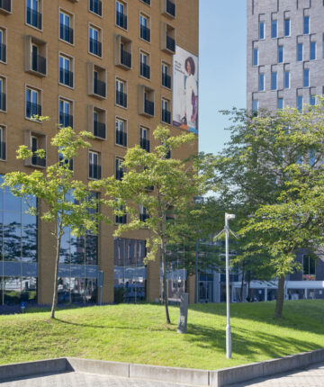 Bomen voor de entree van het Albert Schweitzer Ziekenhuis.