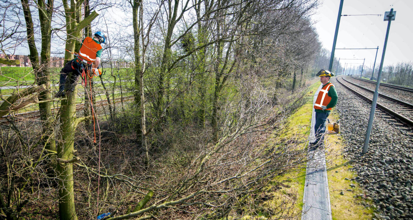 Veilig werken bij boomverzorging langs het spoor.