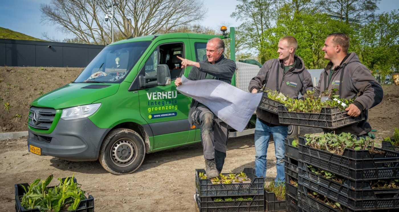 Tuinontwerp