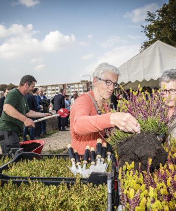 Bewoners krijgen plantjes bij Stadlander.