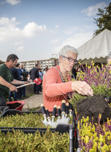 Bewoners krijgen plantjes bij Stadlander.