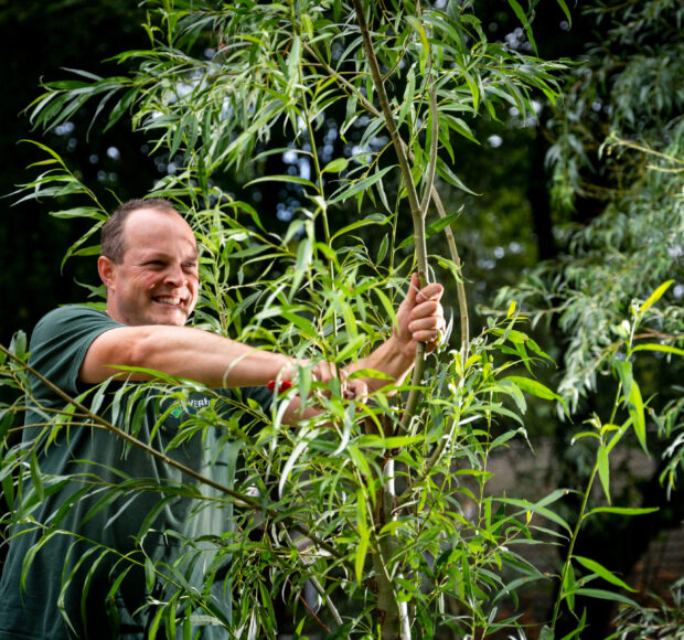 Integraal groenonderhoud