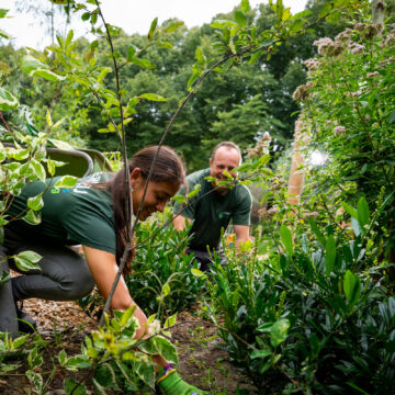 Twee medewerkers werken samen in de tuin van een kinderdagverblijf.