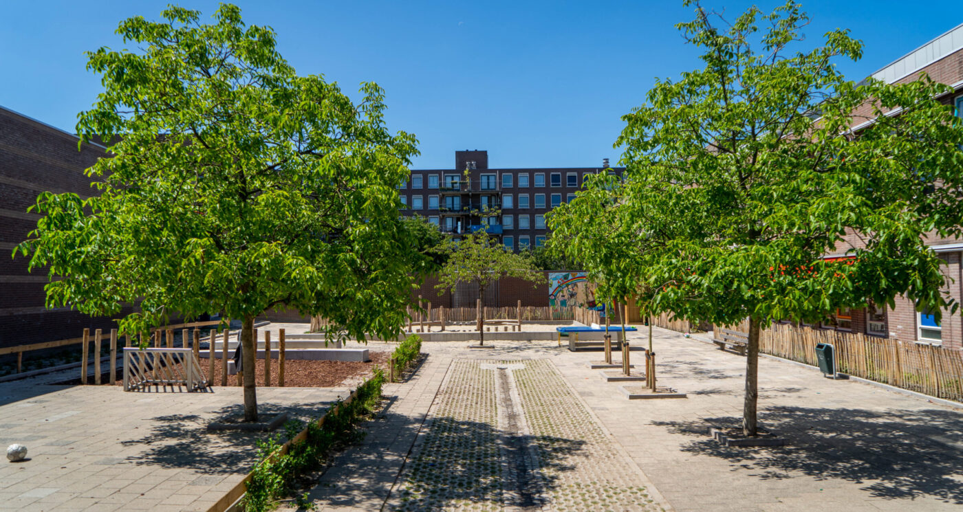 Op dit groenblauw schoolplein is een oplossing voor waterberging toegepast.