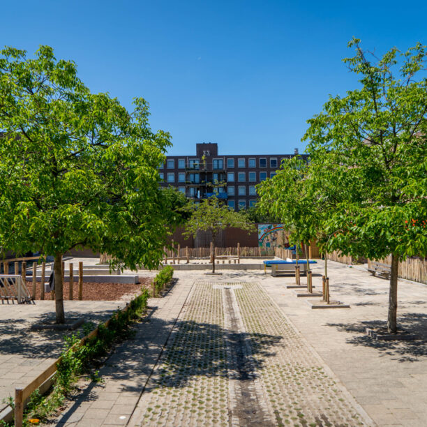 Op dit groenblauw schoolplein is een oplossing voor waterberging toegepast.