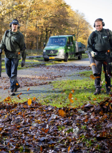 Integraal groenonderhoud, ook in de herfst.