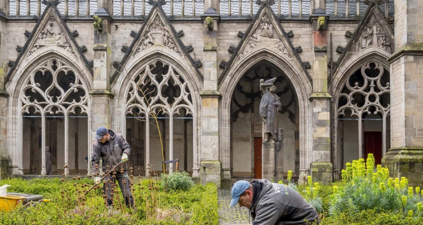 Aanleg en onderhoud in Utrecht door Verheij Integrale groenzorg