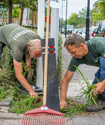 vacture-groenvoorziener-a-verheij-sliedrecht