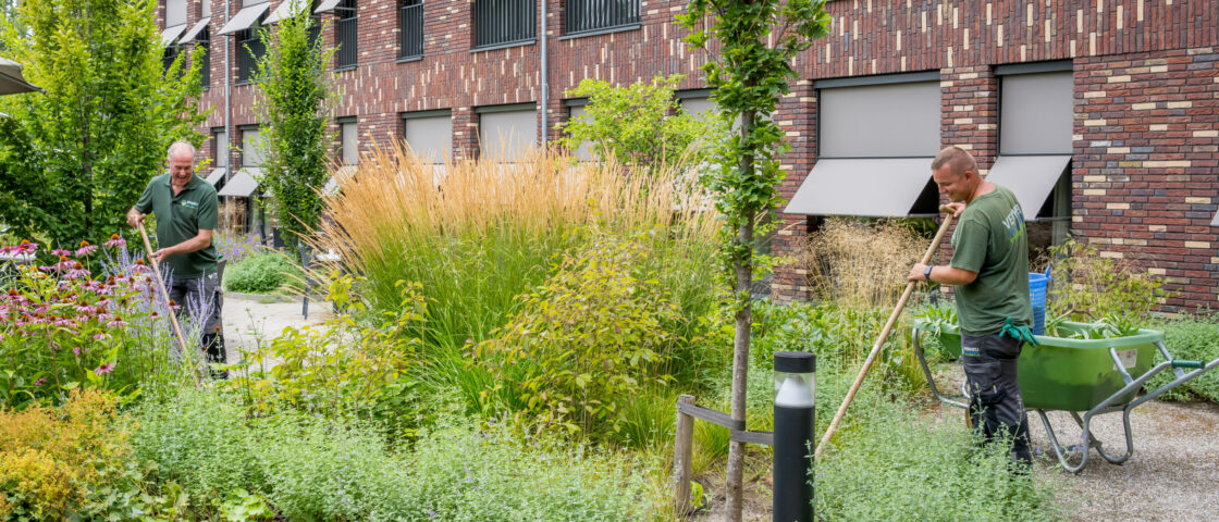 Groenvoorziening in Dordrecht