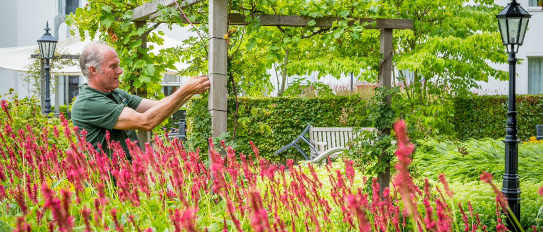 Groenvoorziening in Dordrecht