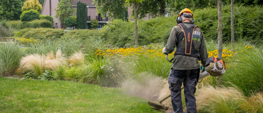 Groenvoorziening in Dordrecht
