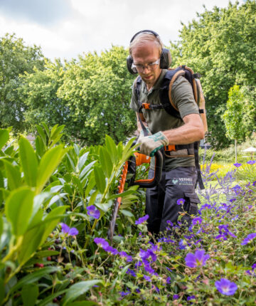 Groenvoorziening in Dordrecht