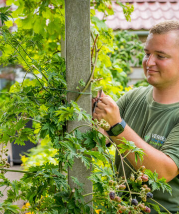 Groenvoorziening in Dordrecht