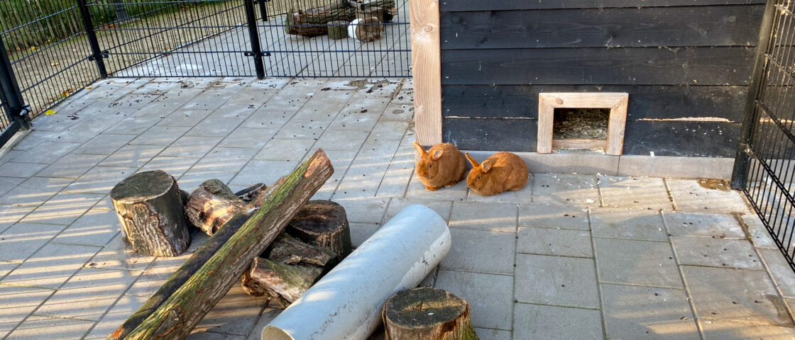 belevingstuin
